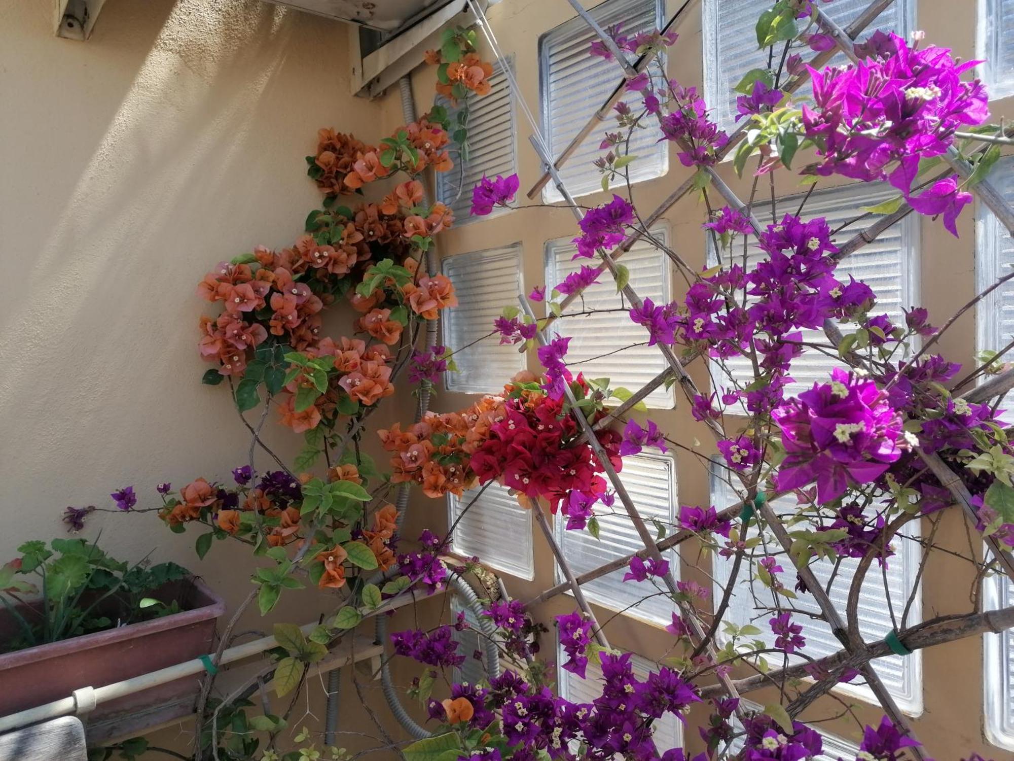 Claudia B&B Roma Dış mekan fotoğraf